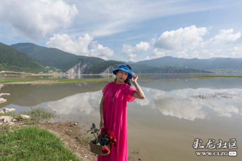 救援鹦鹉